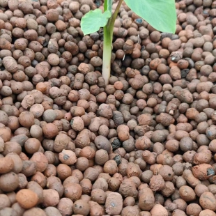 園林-花卉-綠化陶粒